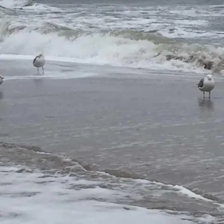 Schumann Gm 69812 公寓 格拉尔-米里茨